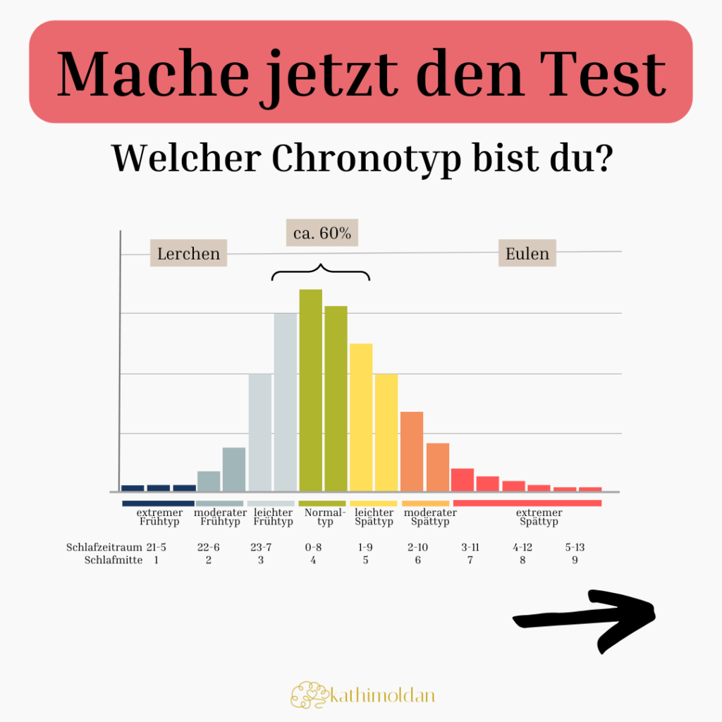 Chronotyp Test Instagram-Post Kathi Moldan Studentencoaching