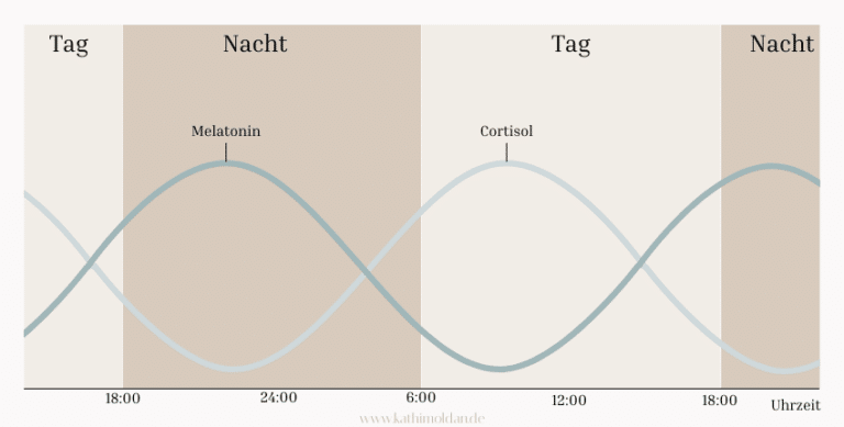 Konzentrationen von Melatonin ("Schlafhormon") und Cortisol ("Wachhormon") im Tagesverlauf