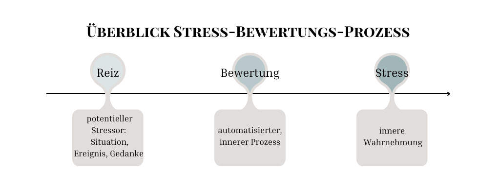 Überblick des Stressbewertungs-Prozess: Reiz gefolgt von Bewertung zu der Stressreaktion