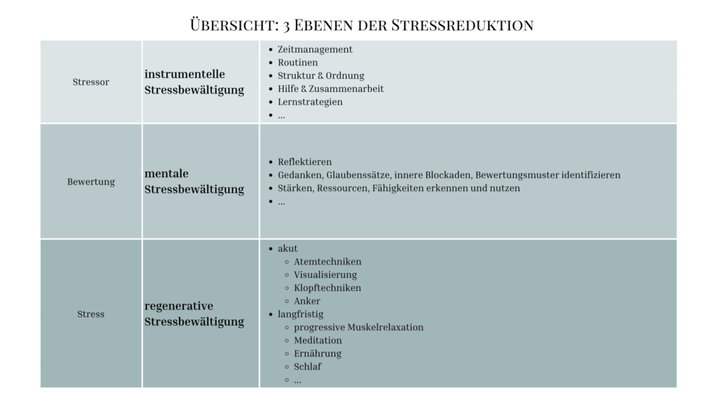Übersicht der Stressreduktion. Aufgeteilt nach Stressigen, Bewertung und der Stressreaktion